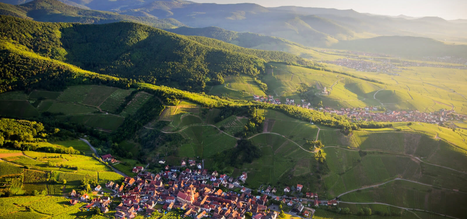 5 Raisons Surprenantes pour lesquelles la Nature Booste Votre Santé Mentale Illzach