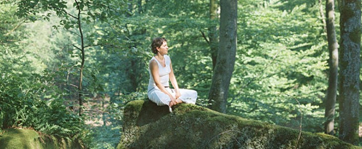 L&#8217;Art de la Méditation en Pleine Nature : Retrouver la Sérénité dans les Forêts d&#8217;Alsace Illzach